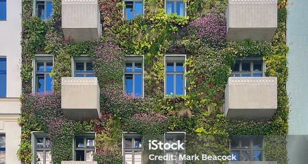 Cool piece of modern townhouse architecture in Berlin with a green facade, of vertical garden on the front of the building.